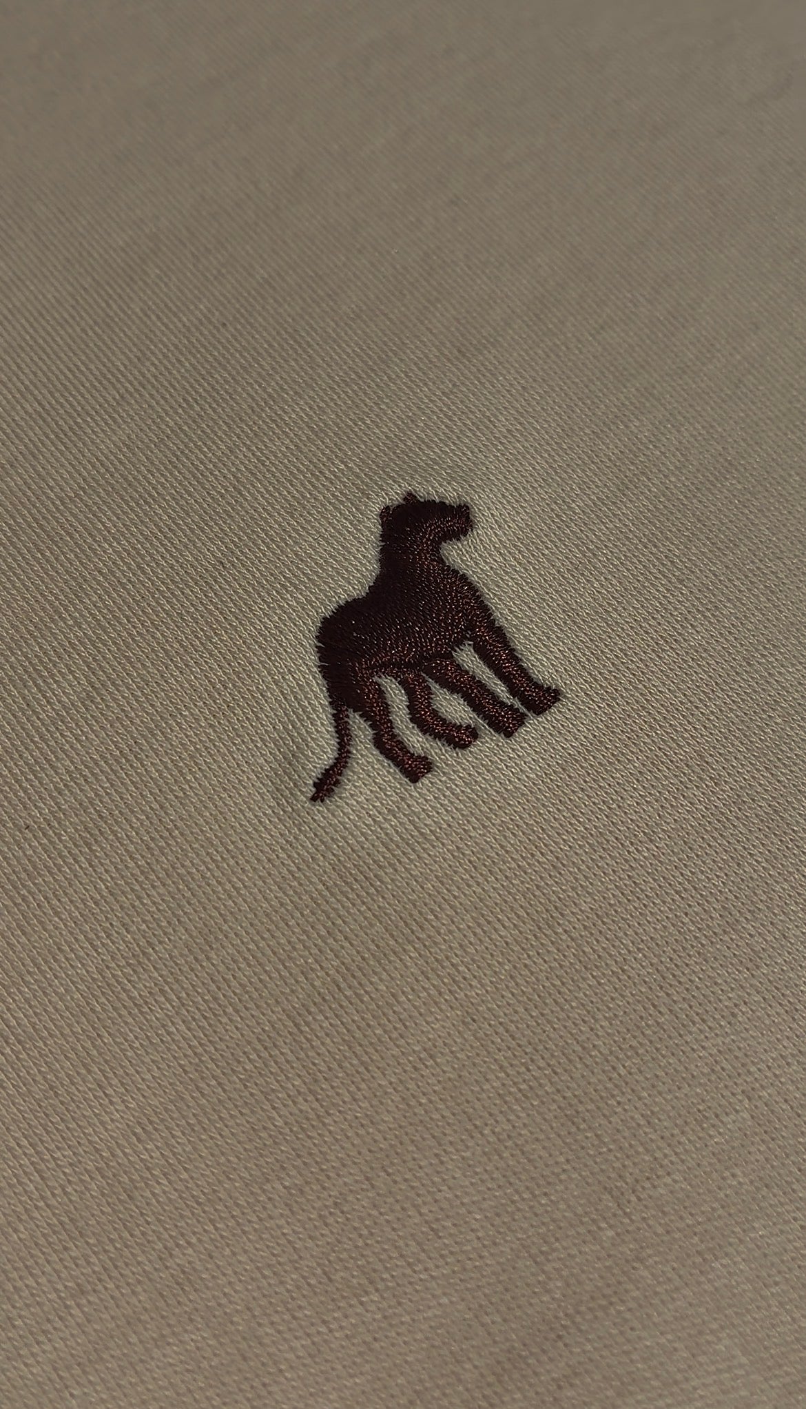 Polo 01