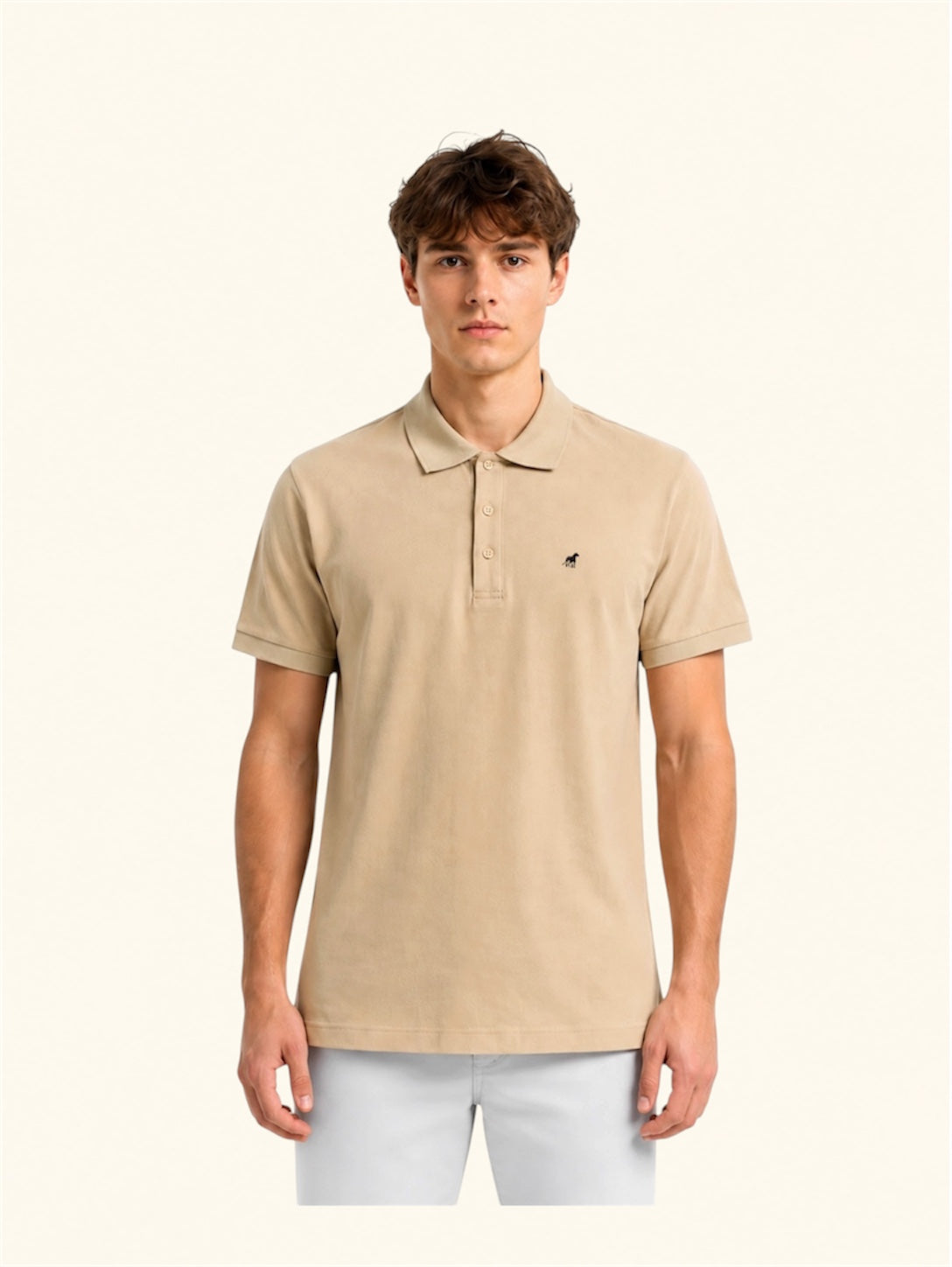 Polo 01