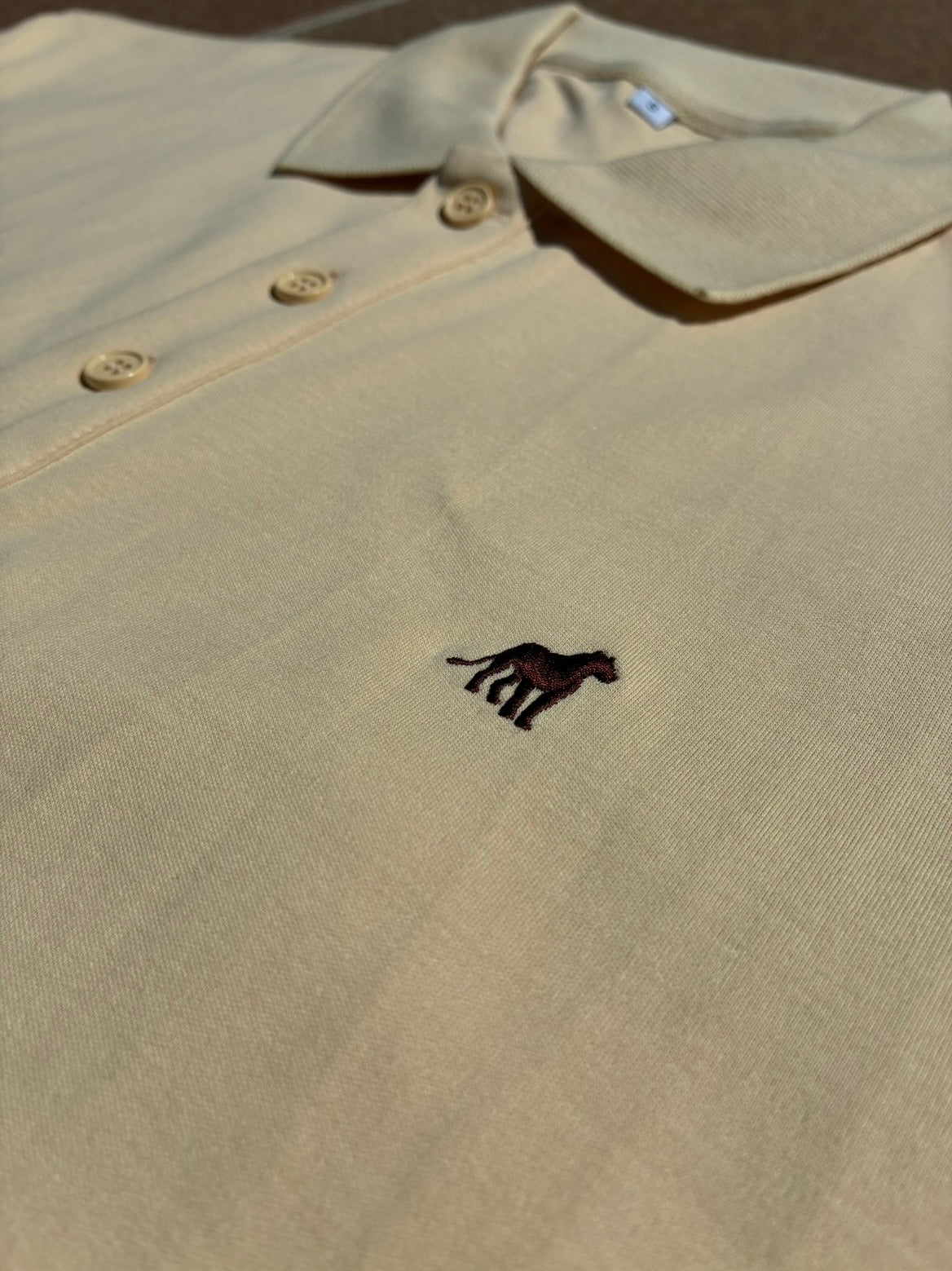 Polo 01