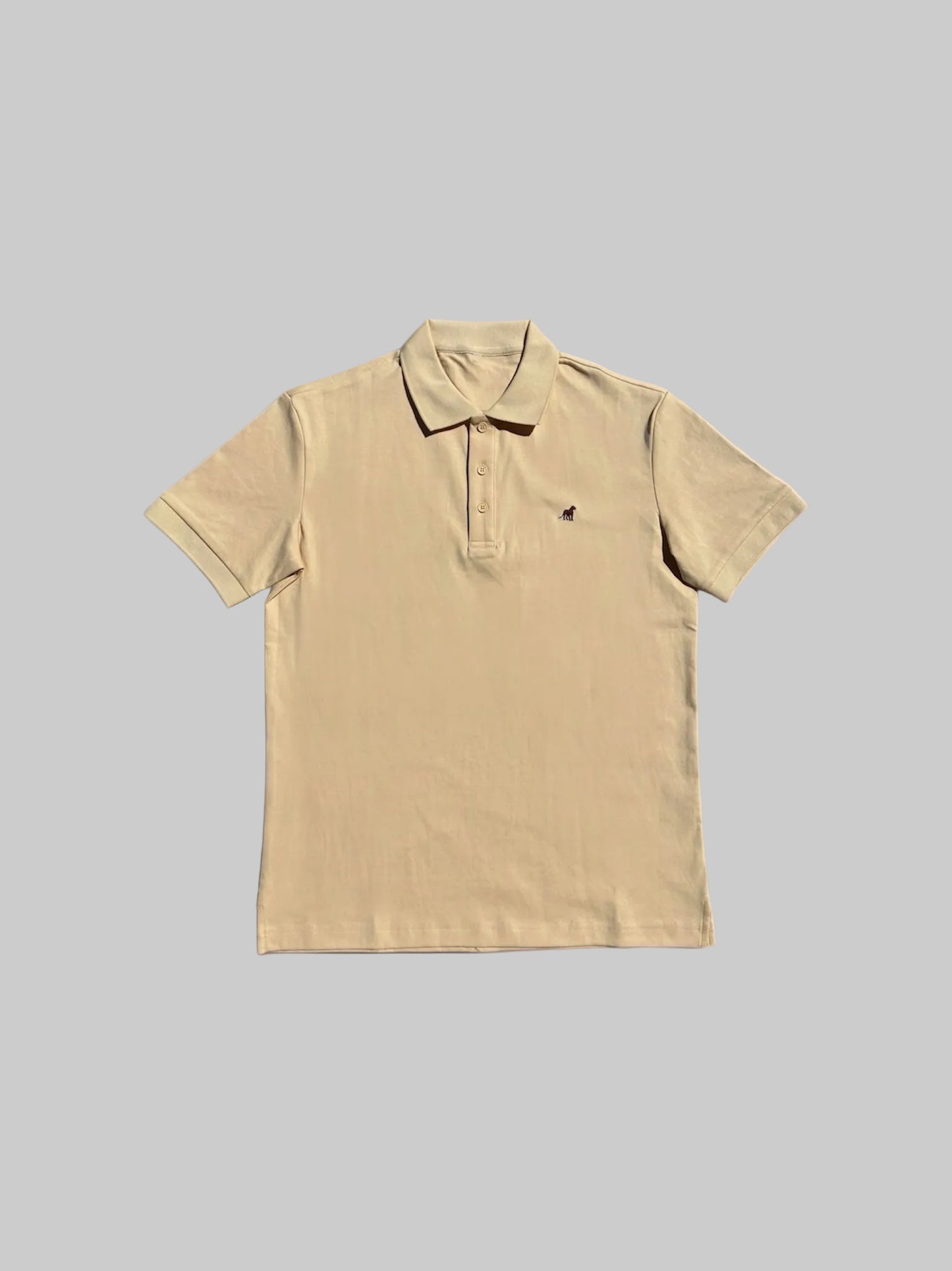 Polo 01